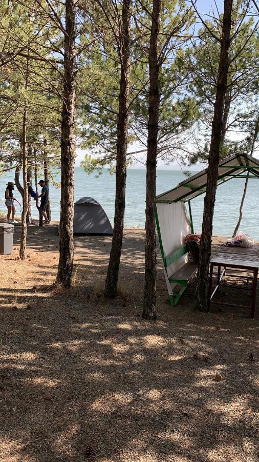 Zhayr Resort & Dive Drakhtik Εξωτερικό φωτογραφία