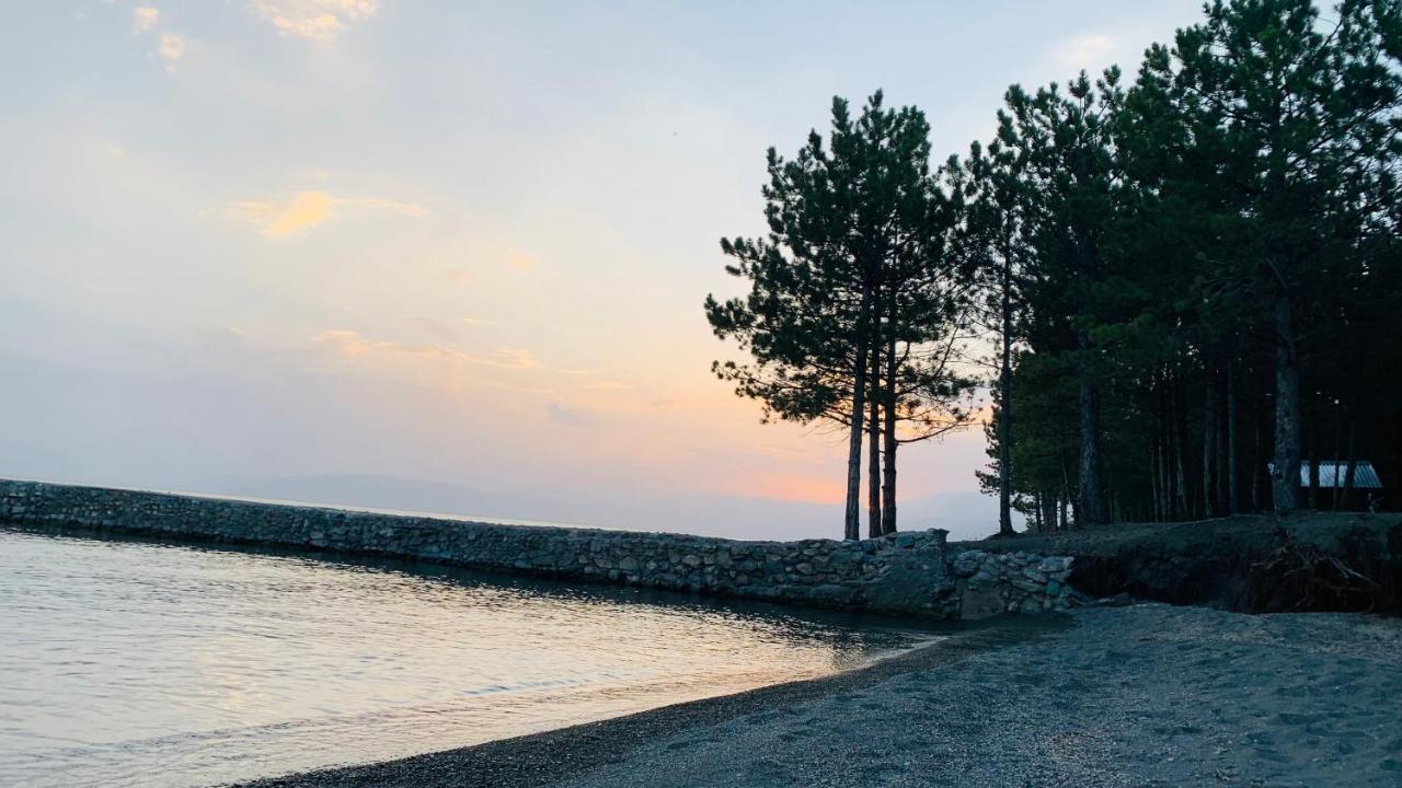 Zhayr Resort & Dive Drakhtik Εξωτερικό φωτογραφία